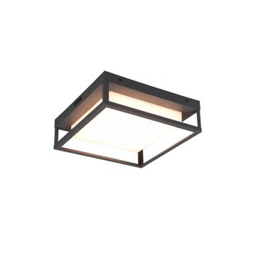 Witham Plafoniera Led Da Esterno Antracite Con Regolazione Luce Caldafredda Ip44 L.30 Cm Trio 