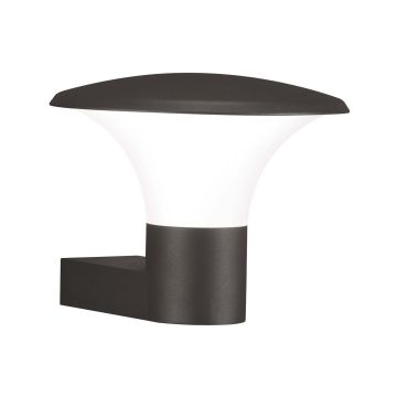Kongo Appl.Led Fungo Antracite 27Xh 22 Trio Antracite