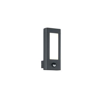 Rhine Appl.Led Antracite Con Sensore Movim.H.28X12 Trio Antracite