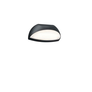Muga Applique Led Coppa Numeri Antrac.16X18 Trio Antracite